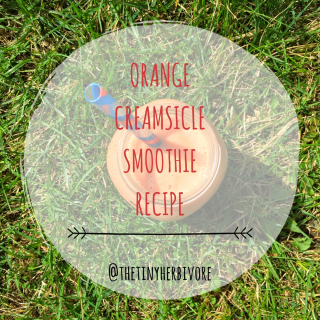 orange creamsicle smoothie