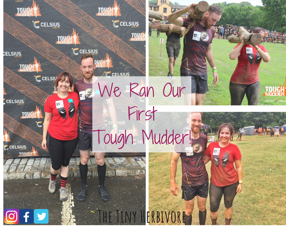 tough mudder review